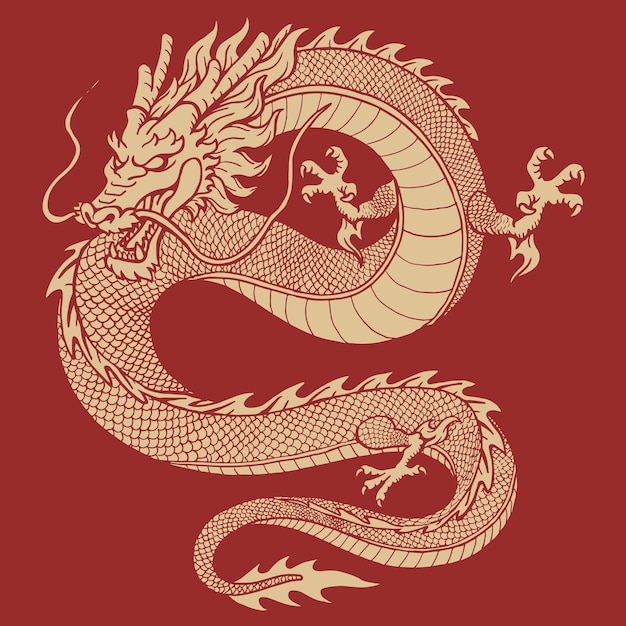 Motif de dragon de porcelaine dessiné à la main
