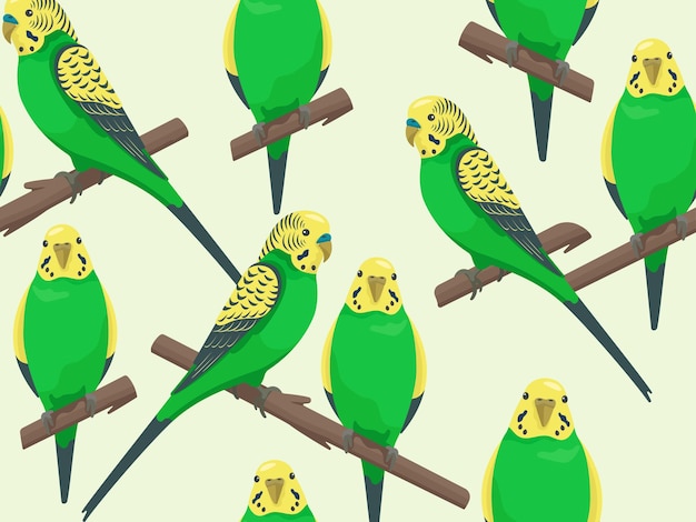Vecteur un motif élégant sans couture avec des perroquets d'amour colorés des perroquets verts assis sur une branche