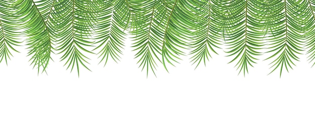Un motif d'été sans couture de feuilles de palmier sur blanc