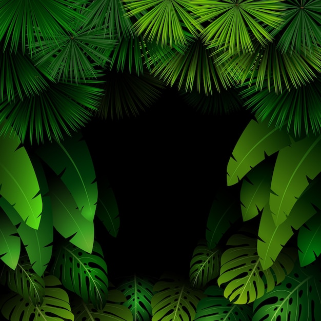 Motif exotique avec des feuilles tropicales sur fond sombre