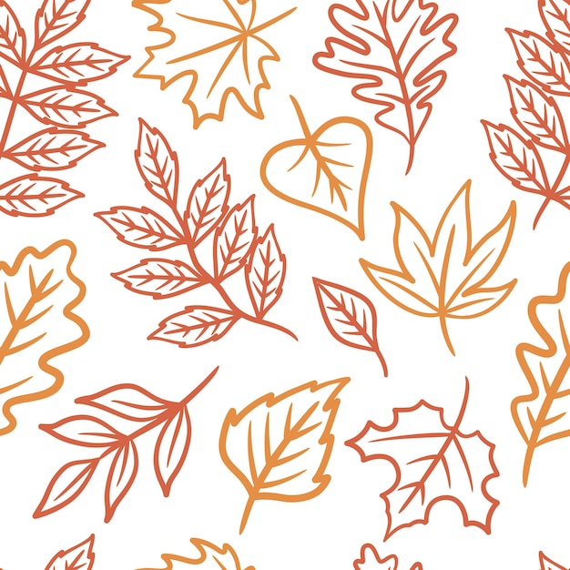 Motif de feuilles d'automne dessinés à la main