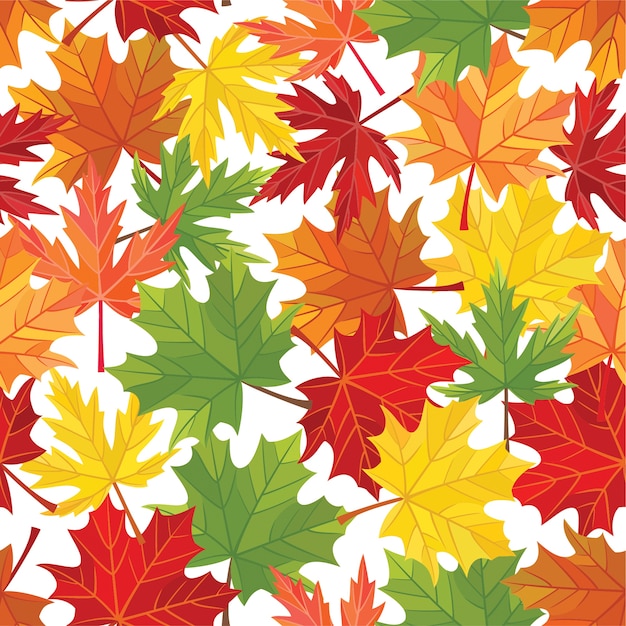 Motif De Feuilles D'automne. Sans Couture.