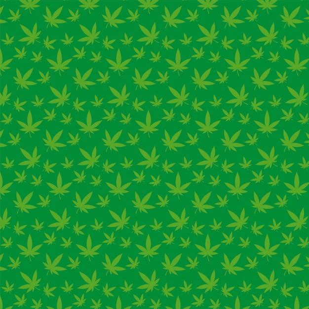 Motif De Feuilles De Cannabis Sur Un Fond De Couleur