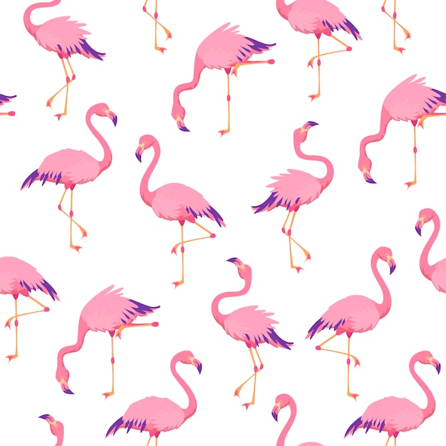 Motif de flamants roses sans soudure