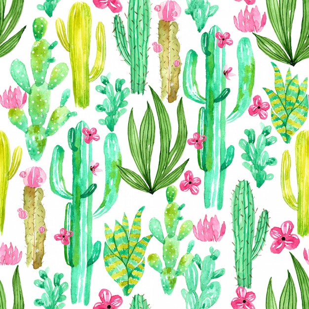 Motif De Fleurs De Cactus