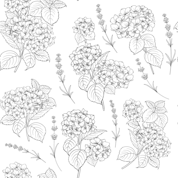 Vecteur motif de fleurs d'hortensia