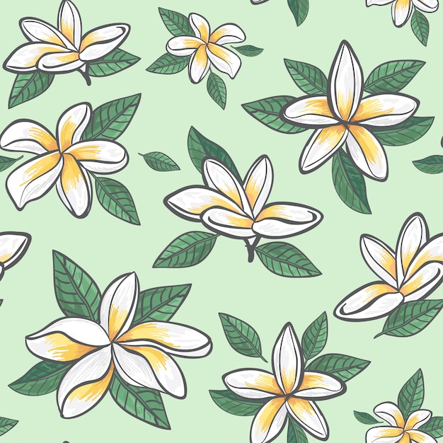 Motif De Fleurs De Jasmin