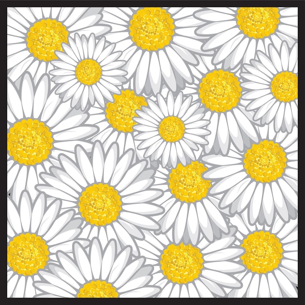 Motif De Fleurs De Marguerite