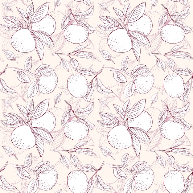 Motif Floral De Fruits. Modèle De Mandarines Avec Des Brunchs. Fond Pour Textile