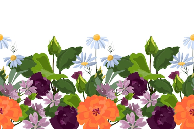 Motif Floral Harmonieux De Vecteur, Bordure. Conception Panoramique Horizontale Avec Prairie, Fleurs De Jardin.