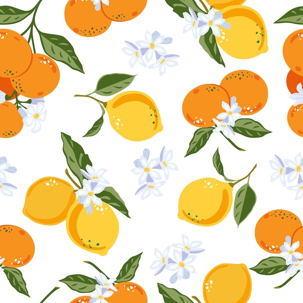 Vecteur motif floral de mandarines et de citrons, fond de fruits sans soudure de vecteur, agrumes, fleurs