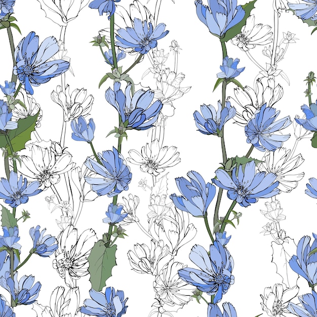 Vecteur motif floral sans couture dessiné à la main avec des fleurs bleues chicorée.