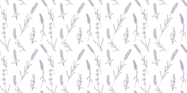 Vecteur motif floral sans couture avec fond botanique de lavande violette