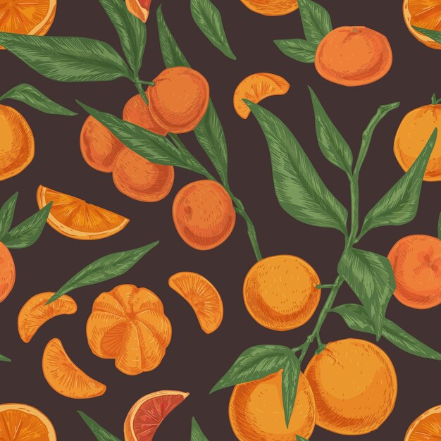 Vecteur motif harmonieux d'agrumes avec des clémentines ou des mandarines, des feuilles et des branches de mandarinier sur fond sombre. texture dessinée à la main avec des fruits frais dans un style vintage. illustration vectorielle colorée.