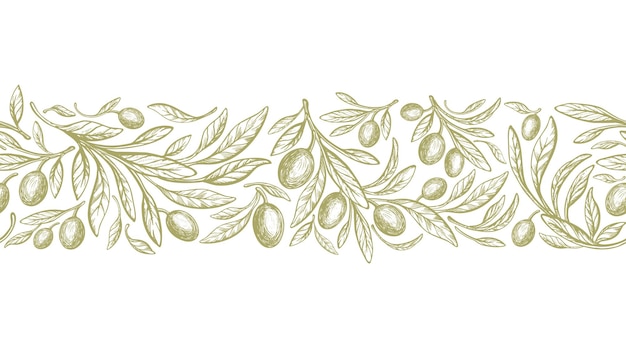 Vecteur motif harmonieux d'olive en rayure répétée. impression décorative dessinée à la main de vecteur. arbre de texture, fruits verts, feuilles rétro sur fond blanc. nourriture à l'huile sauvage