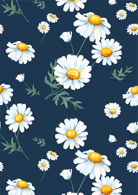 Motif De Marguerites Commun Blanc Dessinés à La Main