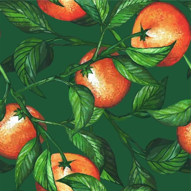 Motif orange mandarine vectorisé dessiné à la main sans soudure.