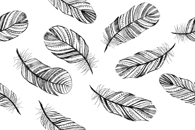 Motif De Plumes Illustration Dessinée à La Main