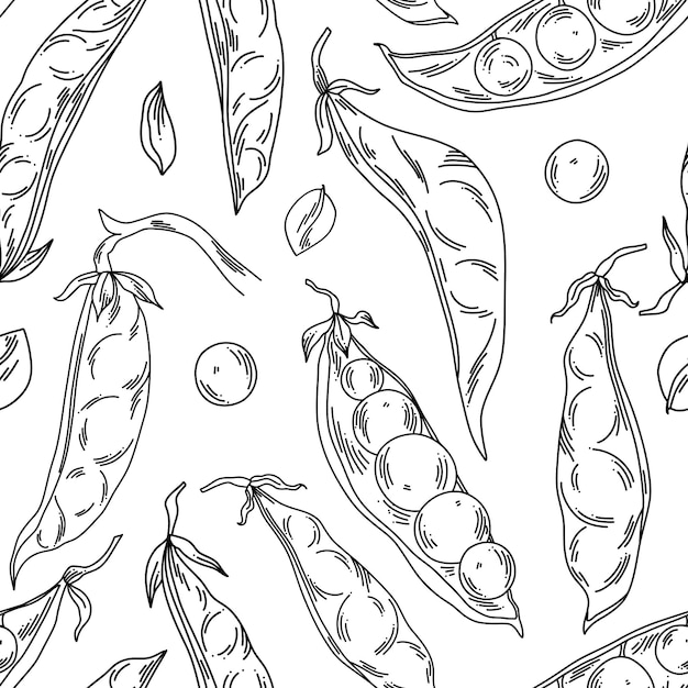 Vecteur motif de pois en style d'art en ligne sur un fond blanc avec des gousses entières et des pois individuels
