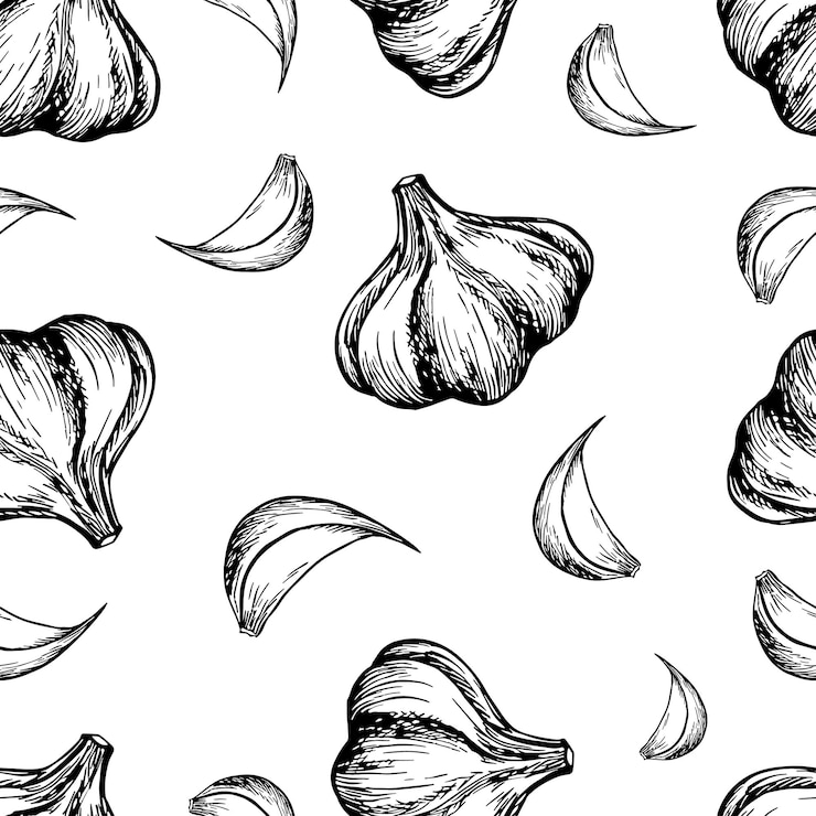 Vecteur motif sans couture avec de l'ail graphiques vectoriels avec l'image d'épices aromatiques illustration dessinée à la main en noir et blanc sur un fond blanc idéal pour les recettes culinaires, les menus, les textiles ou les étiquettes