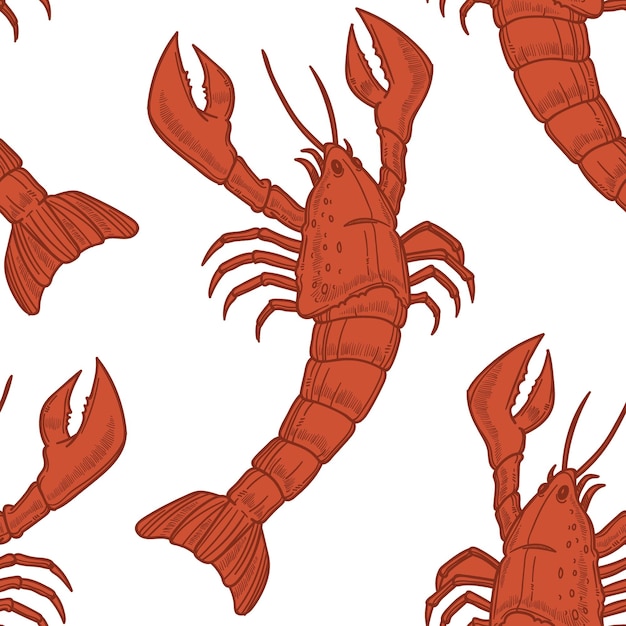 Le motif sans couture du homard rouge