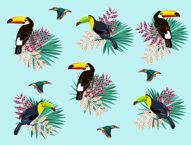 Motif Tropical Avec Colibris Et Toucan