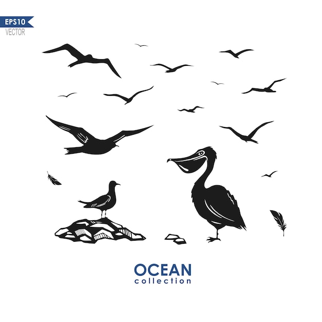 Mouettes Pélican Et Oiseaux Marins Isolés Sur Illustration Vectorielle Blanc