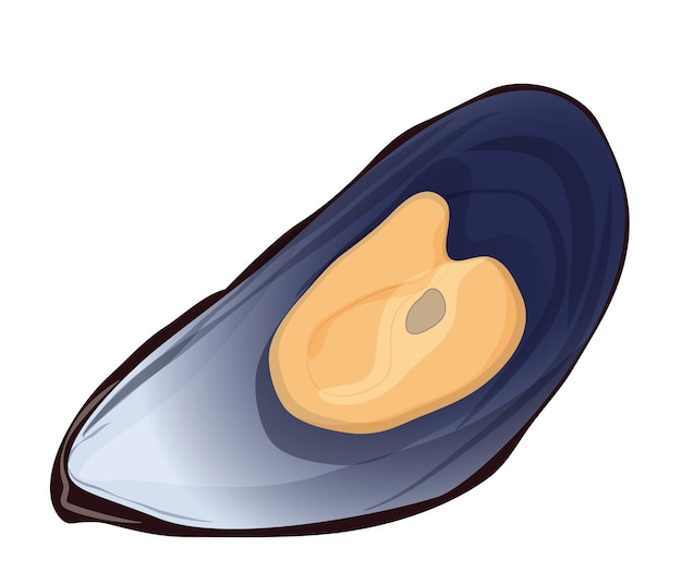 Moules fraîches de fruits de mer