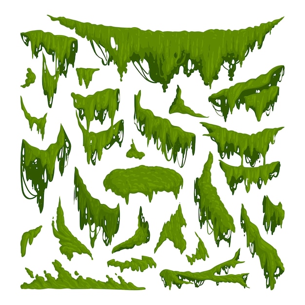 Mousse verte Dessin animé jungle mousse plantes rampantes et suspendues lichen plat vecteur illustration ensemble flore forestière tropicale