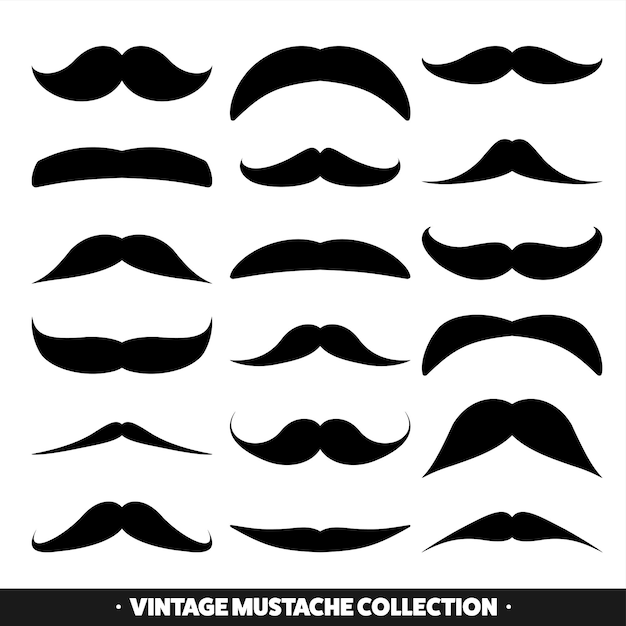 Vecteur moustache isolée sur blanc moustache vectoriel noir vintage poils du visage barberie collection rétro barbe hipster