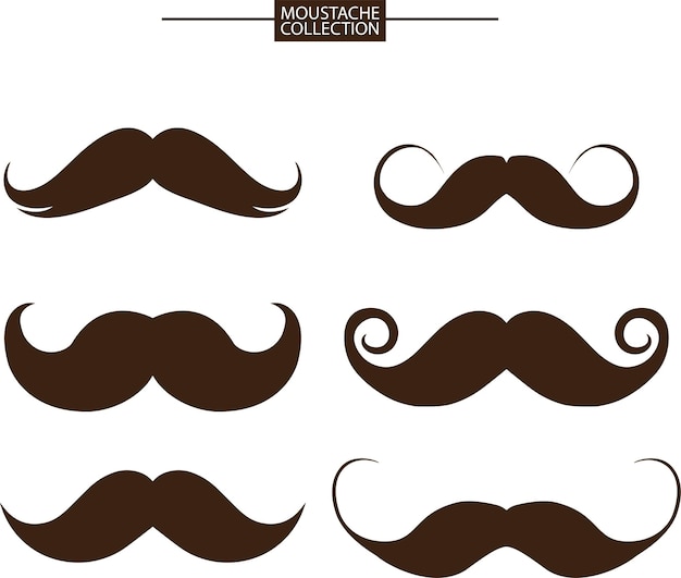 Moustache Moustache Collections