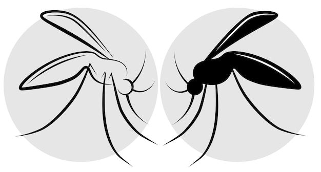 Vecteur moustiques en noir et blanc