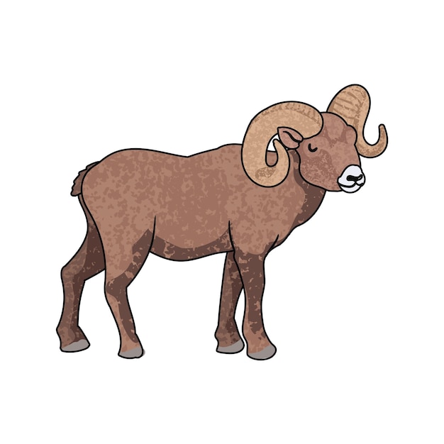 Les moutons de la neige Illustration colorée