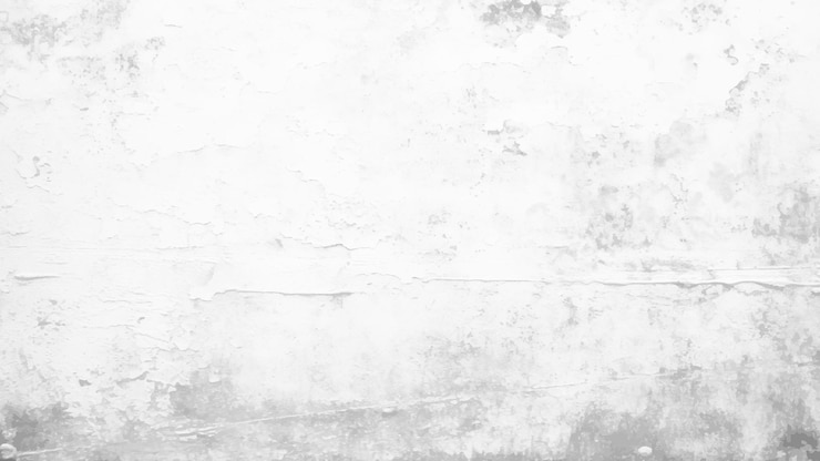 Vecteur mur blanc avec un fond gris et une texture de peinture blanche