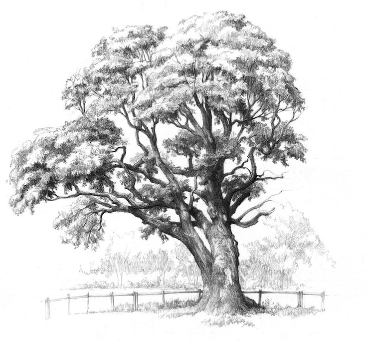 Vecteur une nature d'arbre aquarelle sur fond de papier