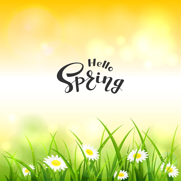 Vecteur nature printanière ou estivale. fleurs et herbe avec des gouttes. lettrage bonjour printemps sur fond de ciel orange, illustration.
