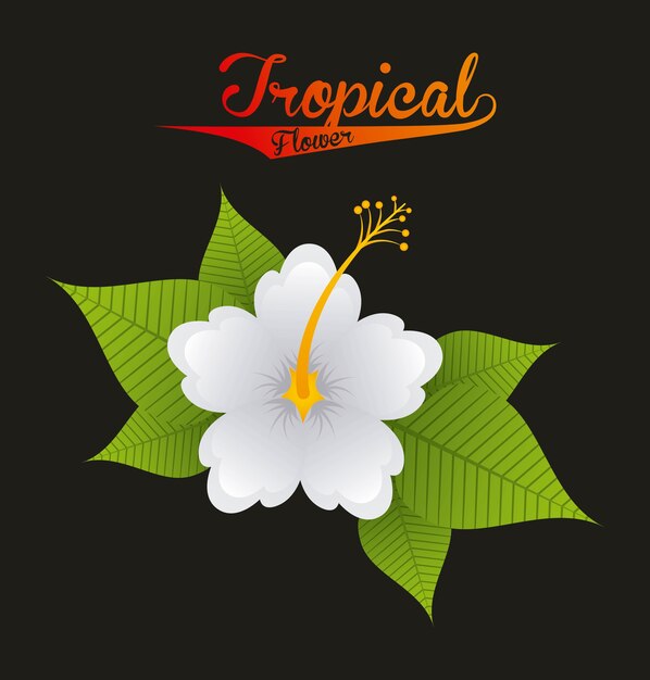 Nature Tropicale