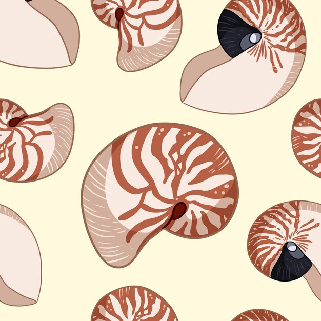 Nautilus Coquilles Modèle Sans Couture De Griffonnages Colorés. Modèle D'arrière-plan De Coquillages Pour La Conception D'emballage, Papier Peint. Tuile De Texture Reproductible