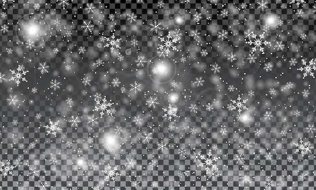 Neige De L'hiver. Flocons De Neige Réalistes Sur Fond Transparent. Illustration Vectorielle. Texture De Noël. Chute De Neige.