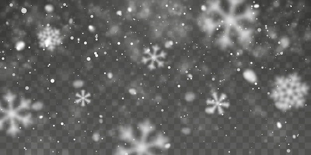 Neige De Noël. Chute De Flocons De Neige Sur Fond Transparent. Chute De Neige. Illustration Vectorielle.