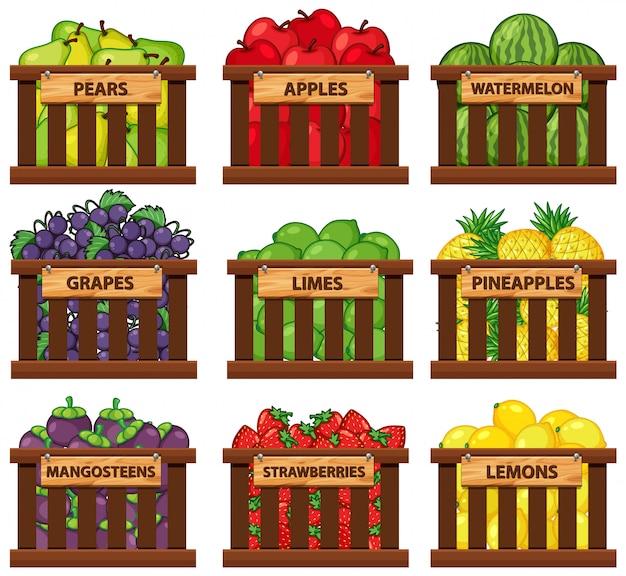 Neuf Types De Fruits Dans Des Paniers En Bois