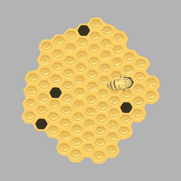nid d&#39;abeille plat