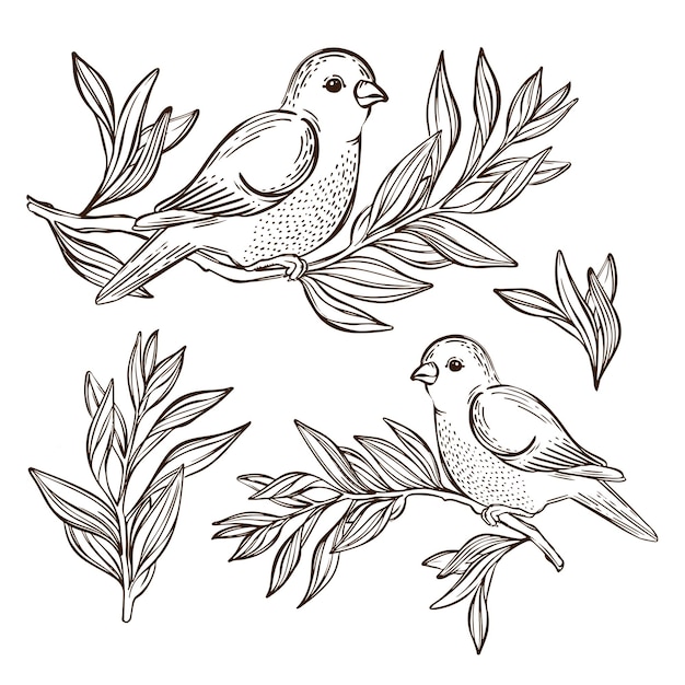 Vecteur nightingale sur la branche de thé songbird vector illustration set