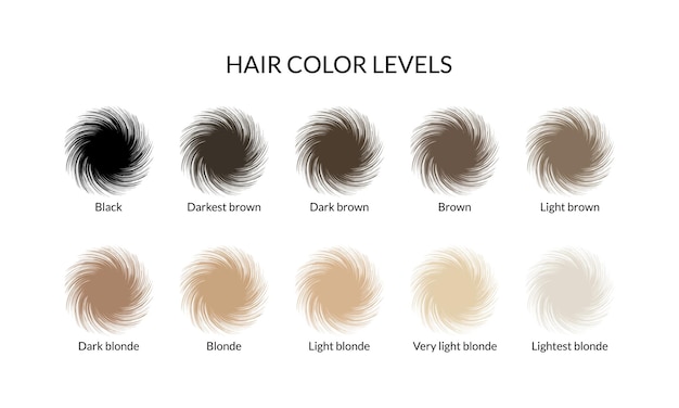 Vecteur niveaux de couleur des cheveux