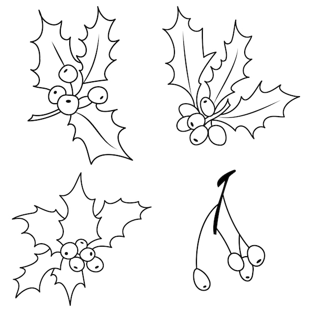 Noël vecteur silhouette houx branche feuilles baies décoration de vacances plantes d'hiver ornementales