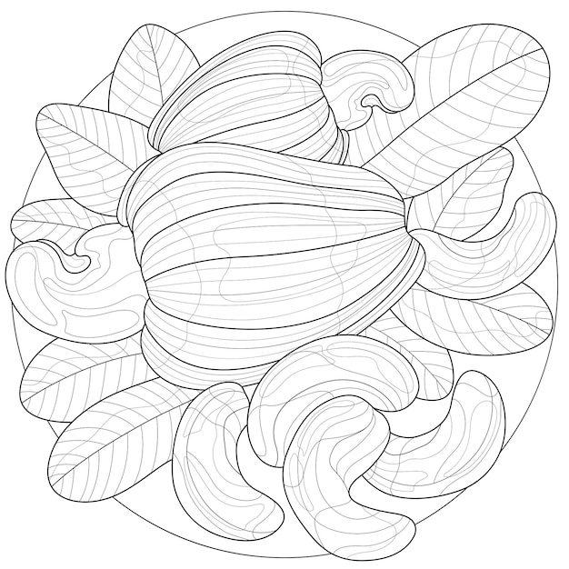 Noix De Cajou.livre De Coloriage Antistress Pour Enfants Et Adultes. Illustration Isolée Sur Fond Blanc. Style Zen-tangle.