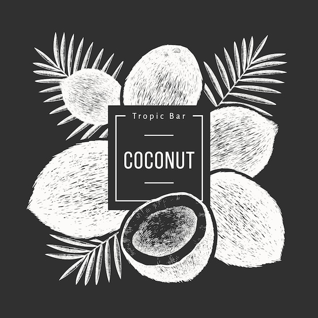 Noix De Coco Avec Design De Feuilles De Palmier. Illustration De Nourriture Dessinée à La Main à Bord De La Craie.