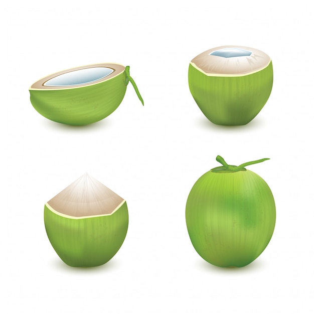 noix de coco sur fond blanc. Illustration vectorielle 3D