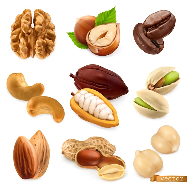 Noix et haricots. Noix, noisette, café, noix de cajou, cacao, pistache, amande, arachide, pois chiche, set vector