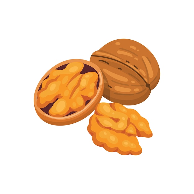 Noix d'icône de noix dans la collection de nourriture de noix de style dessin animé